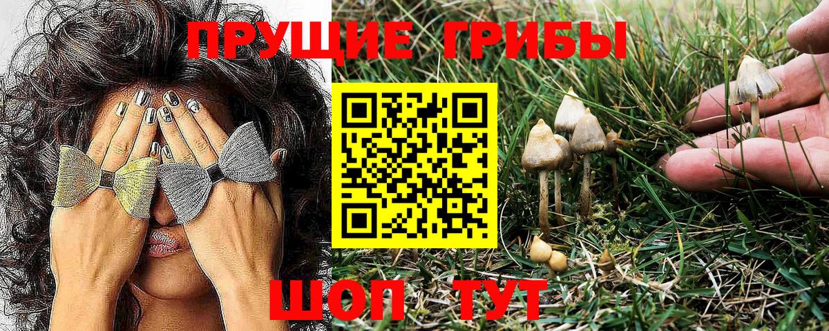 Дивногорск  Псилоцибиновые грибы Magic Shrooms  Вход с VPN 